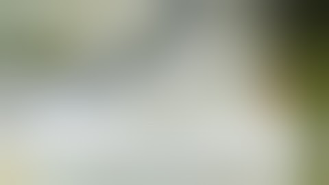 سورة النصر لفضيلة الشيخ خالد الجليل