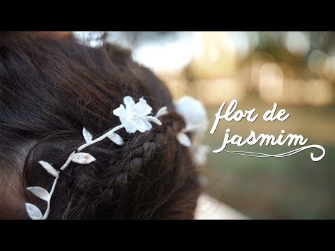 Vídeo: Incarvillea - Floresce Durante Todo O Verão