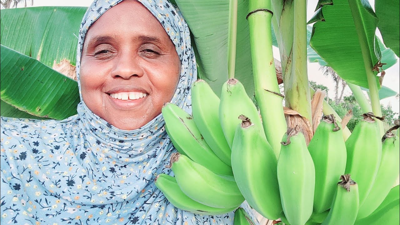 September 25, 2025 Ku soo dhawaada lamu isku filan