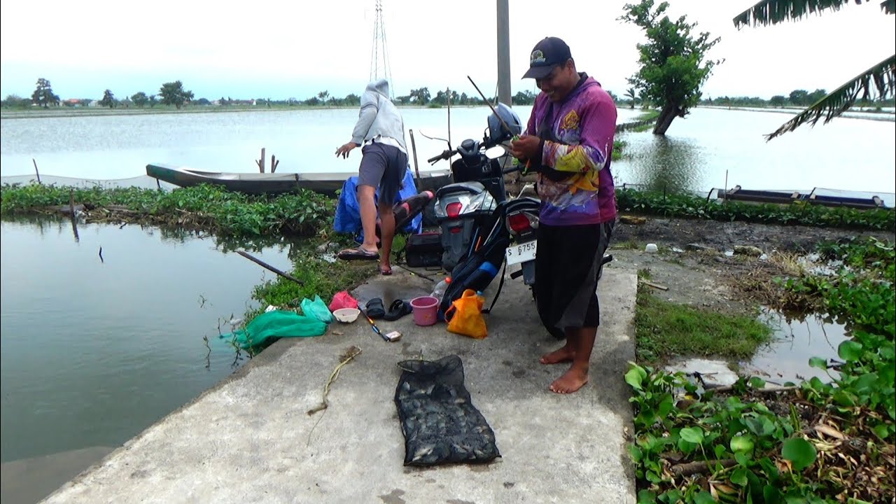 Bawakan Karung Lamongan Banjir Ikan,, Mancing di sungai tepi jalan raya panen ikan nila dan ikan mas