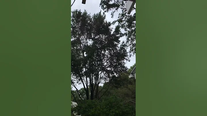 Hurricane Matthew Duval County vid1