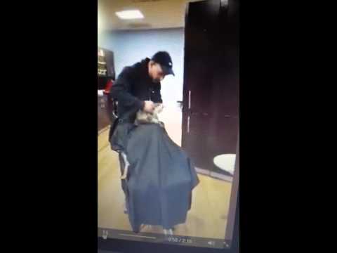 dog-gets-haircut-at-salon