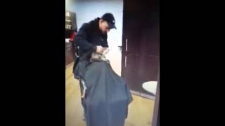 Dog gets haircut at Salon