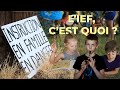 Instruction en famille ief  lducation alternative menace   reportage cole  la maison