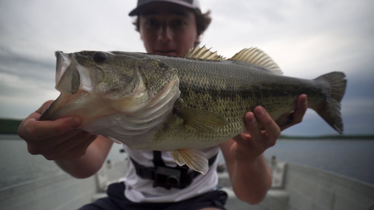 I Broke 2 Personal Best's In 3 Days (Bass Fishing)