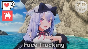 Kikyo/桔梗 - Face Tracking Add on