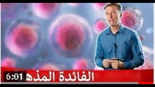 الالتهام الذاتي المذهل في تقوية المناعة