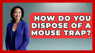 How Do You Dispose Of A Mouse Trap? - Insects and Invaders