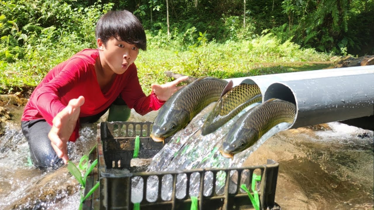 Boy Lam used PVC pipe to make fish trap and caught a lot of fish in the ...