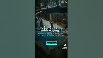 سورة الفجر- يَقُولُ يَا لَيْتَنِي قَدَّمْتُ لِحَيَاتِي🥺💔حمزه يوتيوب