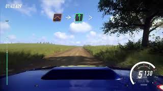 Dirt Rally 2.0 TEST / POLAND