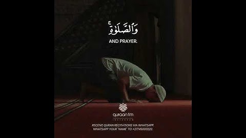 سورة البقرة الآية ١٥٣ بصوت الشيخ طارق محمد 🌺