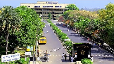 Visit Guru Nanak Dev University Amritsar |gndu tour / gndu tour vlog