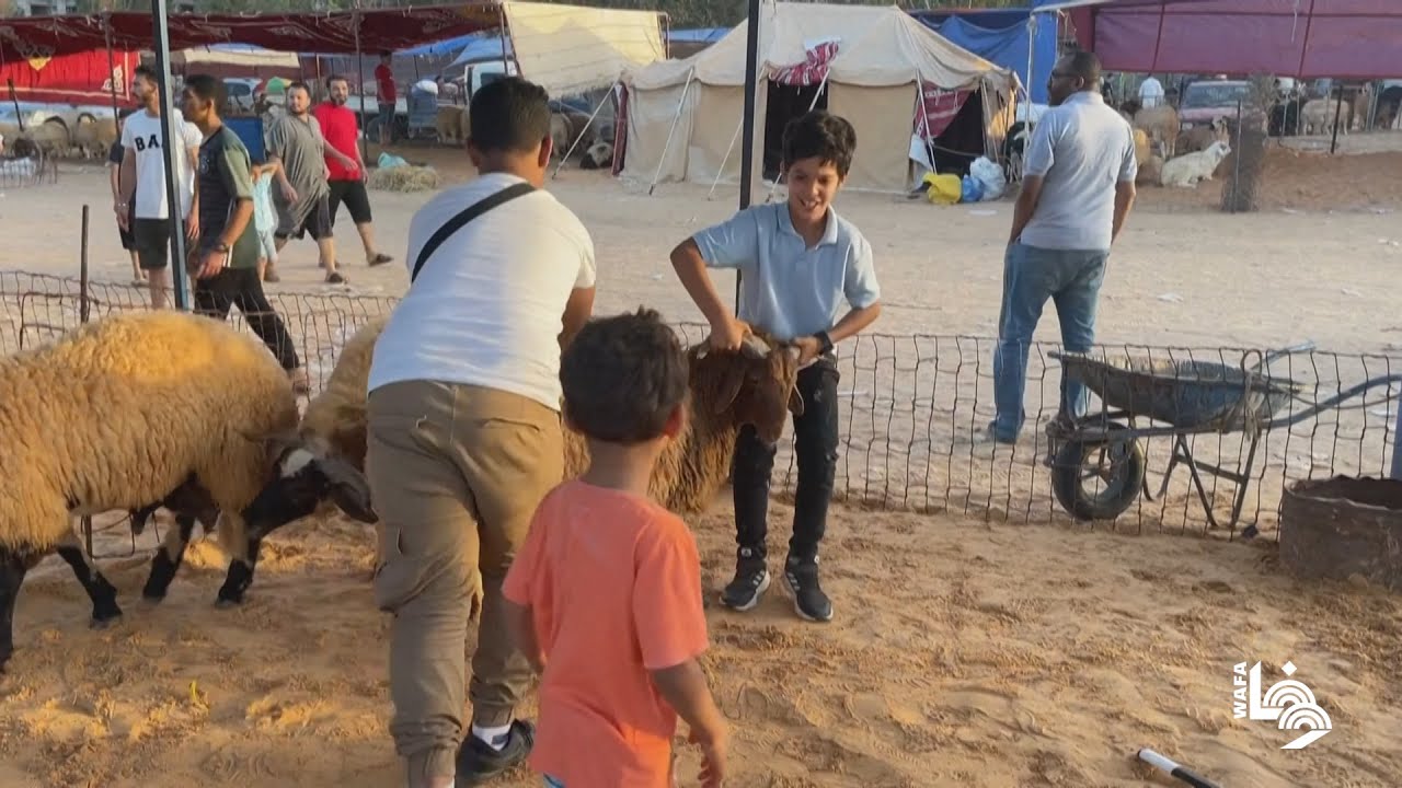 ارتفاع أسعار الأضاحي في ليبيا