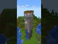 CUANTO TARDARÍAS EN MINAR TODO EL MUNDO DE Minecraft