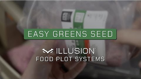 Easy Greens Seed Blend - Illusion Food Plot Systems