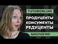 Биология | Продуценты, консументы, редуценты. Компоненты пищевой цепи.