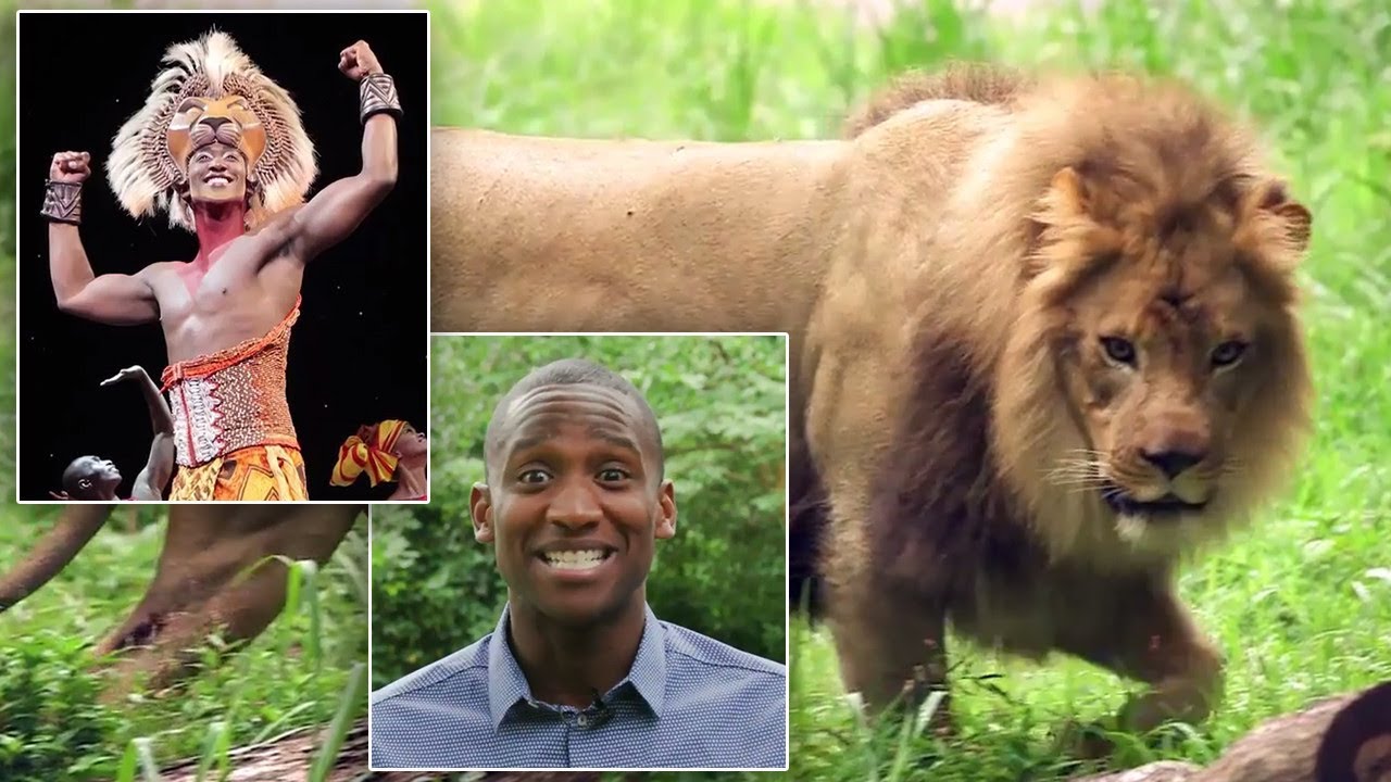 Simba From Disney's 'The Lion King' Meets the Real-Life Animals