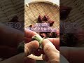 生ハイビスカスティー🌺ローゼルの実でつくる#ローゼル
