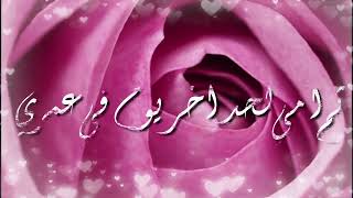 أمي ثم أمي