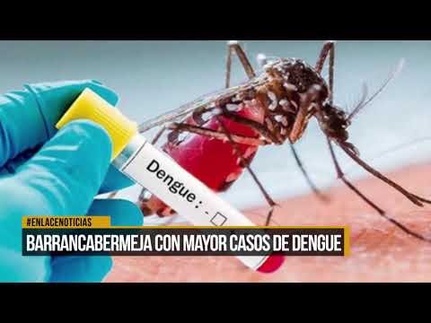 Barrancabermeja es una de las ciudades con más casos de dengue en Santander