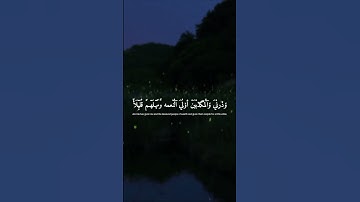 واصبر على مايقولون واهجرهم هجراً جميلا❤#القارئ #علي نمير #قرآن #سورة