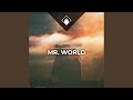 Mr. World (Sander W. & Sandëro Remix)