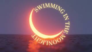 Bad Suns - Swimming In The Moonlight (slowed)