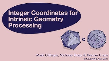 Integer Coordinates for Intrinsic Geometry Processing