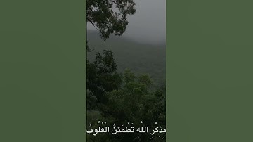 القارئ محمد صديق المنشاوي #viralvideo #اكسبلور #القرآن_الكريم #ايات_قرانيه_قصيره #راحة_نفسية #قرآن