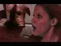 REIGN of TERROR - The Haunted House