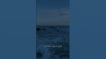 { يَقُـولُ يَـا لَيْتَنِـي قَـدَّمْـتُ لِحَيَـاتِـي } ، رعد الكردي سوره الفجر 🤍.
