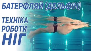 Баттерфляй (Дельфин): техника работы ног - 5 Элемент Баттерфляй (Дельфин): техника работы ног - 5 Элемент