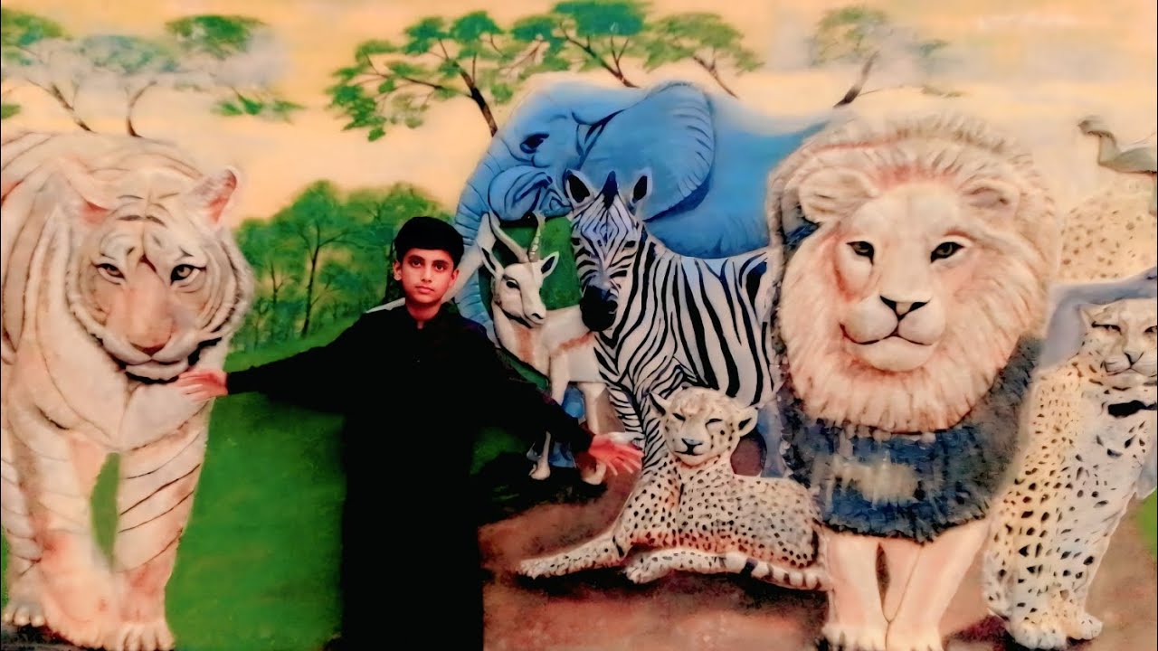 |Janngal worlds Zoon|careua Ghar |sher and ceeta Zubara ellefant huran Le video |Malik Ak VLOGS|