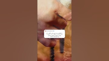 تلاوة خاشعة القارئ محمد جلال الكردي راحة نفسية حالات واتس اب دينية