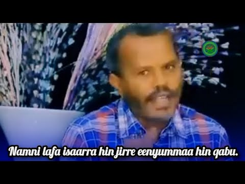 Namni Lafa Isaarra Hin Jirre Eenyummaa Hin Qabu Kol Gammachuu Ayyaanaa