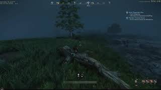 New World falling through world bug