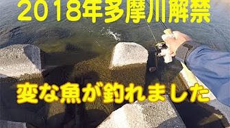 Nan Nan Back Skip Navigation Search Search Sign In Home Home Explore Explore Shorts Shorts Subscriptions Subscriptions Library Library History History Play All 多摩川 146 Videos 3 246 Views Updated 6 Days Ago Show More Fumiya Okuyama
