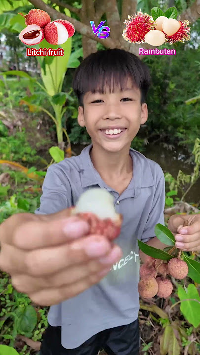 Litchi fruit VS Rambutan - What fruit do you like to eat? #shorts
