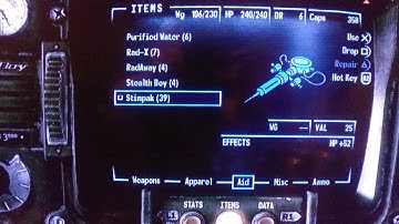 Fallout 3 Why NOT To Go After Vault 87