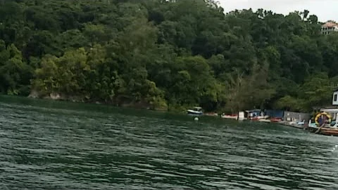 The amazing M&G is live