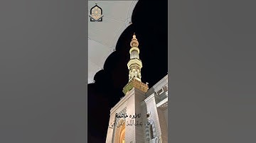 تلاوة الشيخ عبدالله القرافي المشهورة ولاكن في ساحات المسجد النبوي #المسجد_النبوي #عبدالله_القرافي