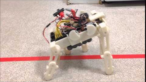 Bio-inspired Robotics (ENME 489L) Fall 2013