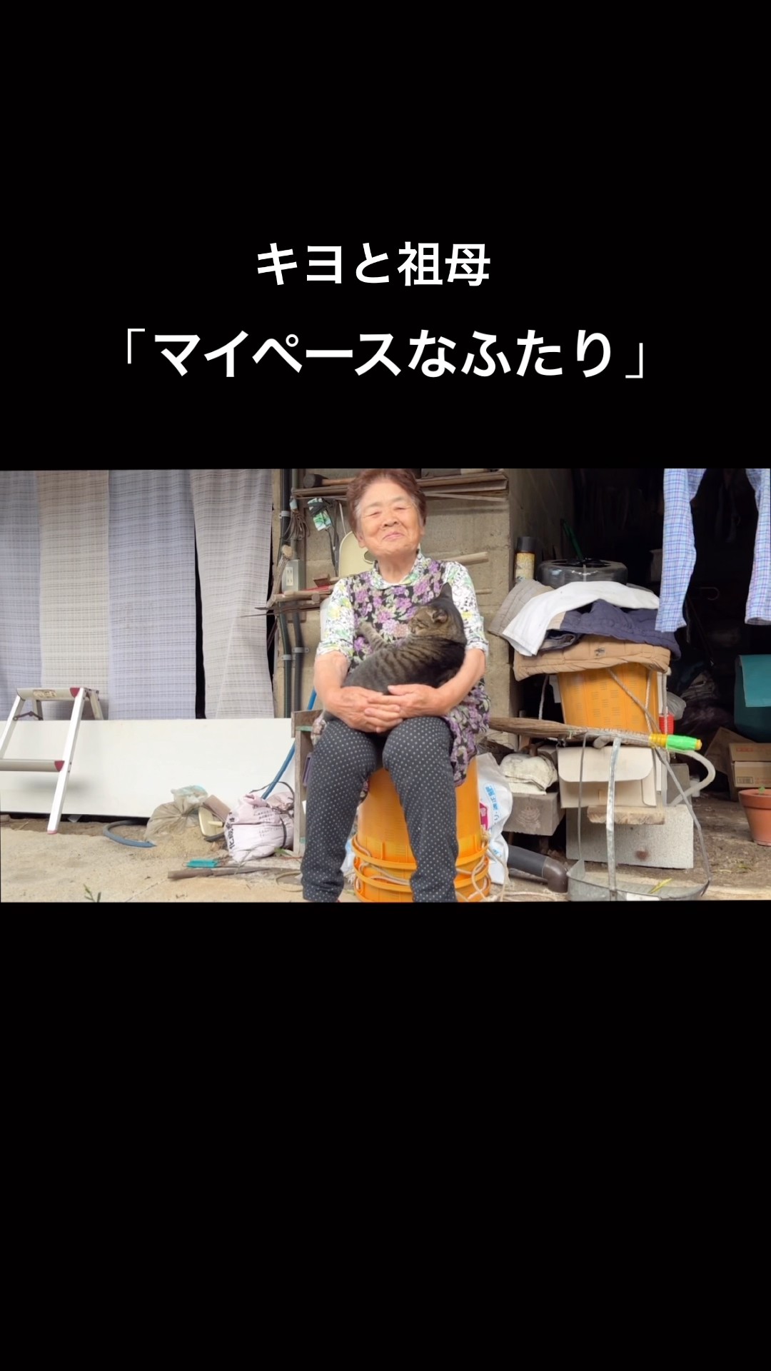キヨと祖母(アラサーニートと4匹の猫) - YouTube