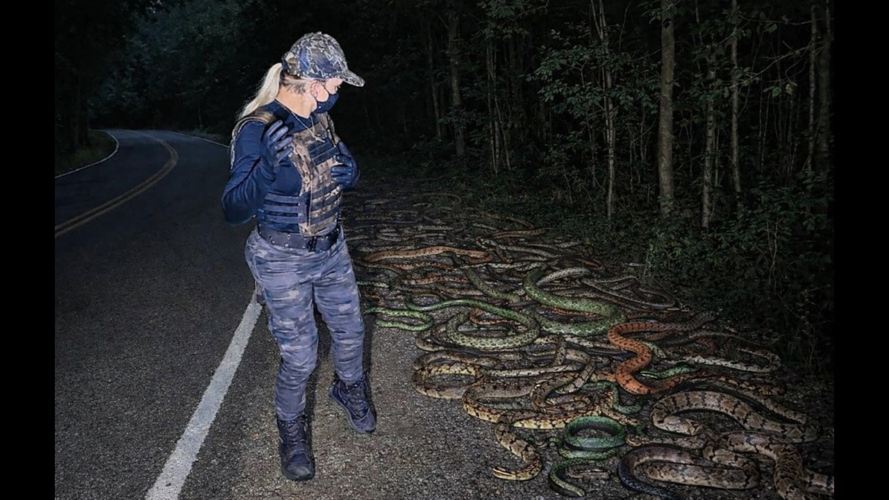 ROSY SE DESESPERA AO CONTA QUE TINHA COBRAS POR TODA PARTE - SPIRITBOX