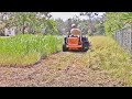 Correct sound timelapse mowing an overgrown giant yard