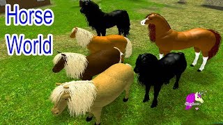 Horse World ! Lets Play Roblox Online Horses Game Play Video