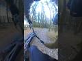 cool trail, but my camera died #mtb #shorts