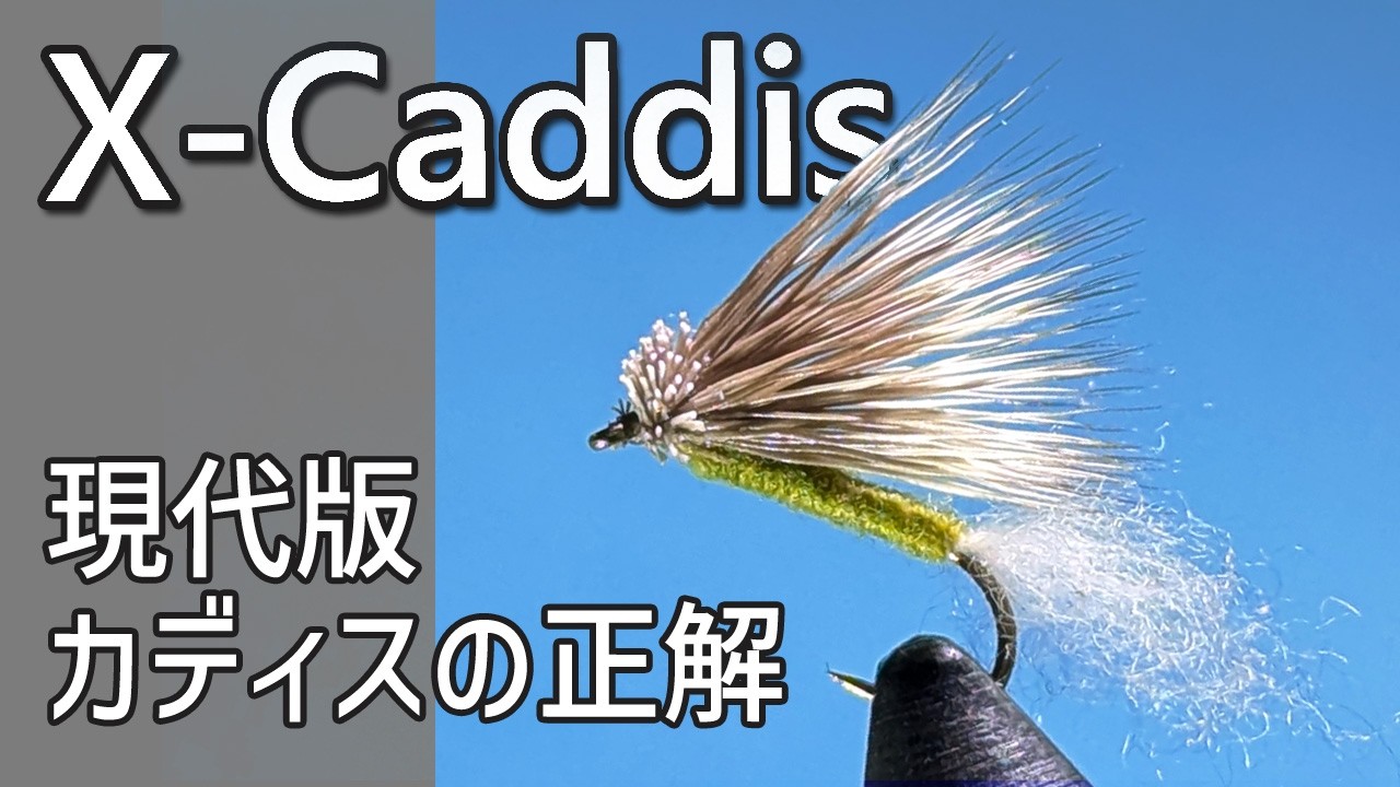 The Correct Answer for Modern Caddis fly｜Tying a X-Caddis【Dly