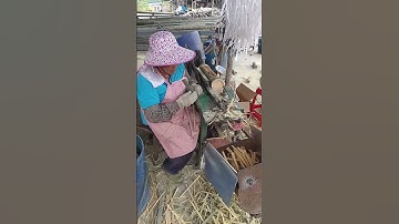 Bamboo Processing The Splitting into Strips Process